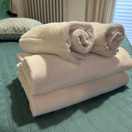 Mazzini With Terrace 公寓 比萨